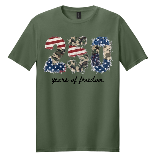 250 Years of Freedom Patriotic Patchwork Graphic Tee | Vintage Americana Independence Shirt